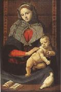 Piero di Cosimo The Virgin and Child with a Dove (mk05) oil painting picture wholesale